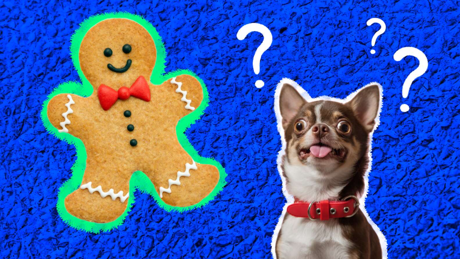 Gingerbread Pets Can Dogs Eat Gingerbread? What Dog Parents Need To Know - DodoWell ...