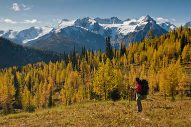 Mountain Trek hiker