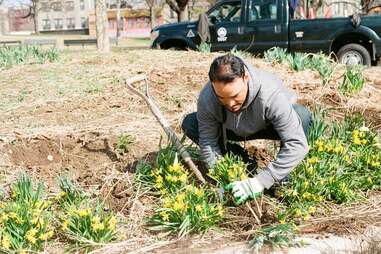 Partnerships for Parks