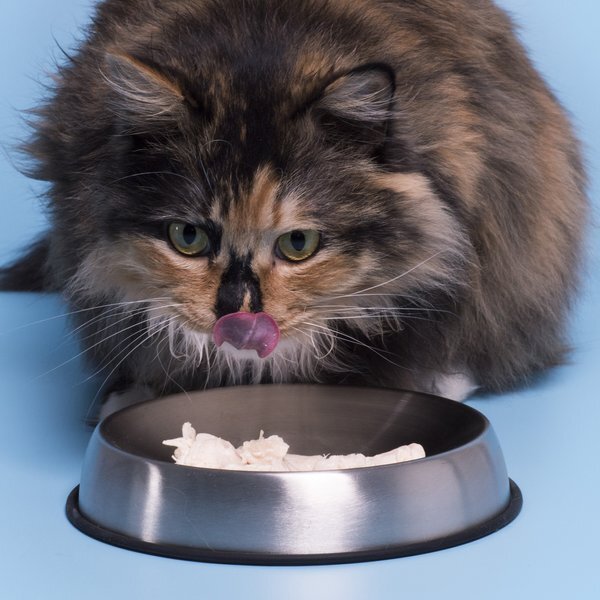 Dr. Catsby's Whisker Relief Non-Skid Stainless Steel Cat Bowl