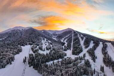 people skiing through a forest toward a mountain