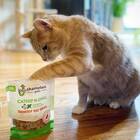 Shameless Pets Crunchy Treats for Cats with Catnip
