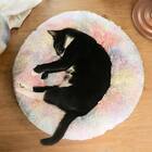 AmazinglyCat Fluffy Cat Bed