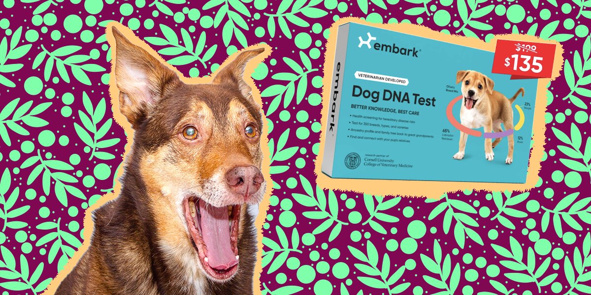 Embark dna hotsell black friday