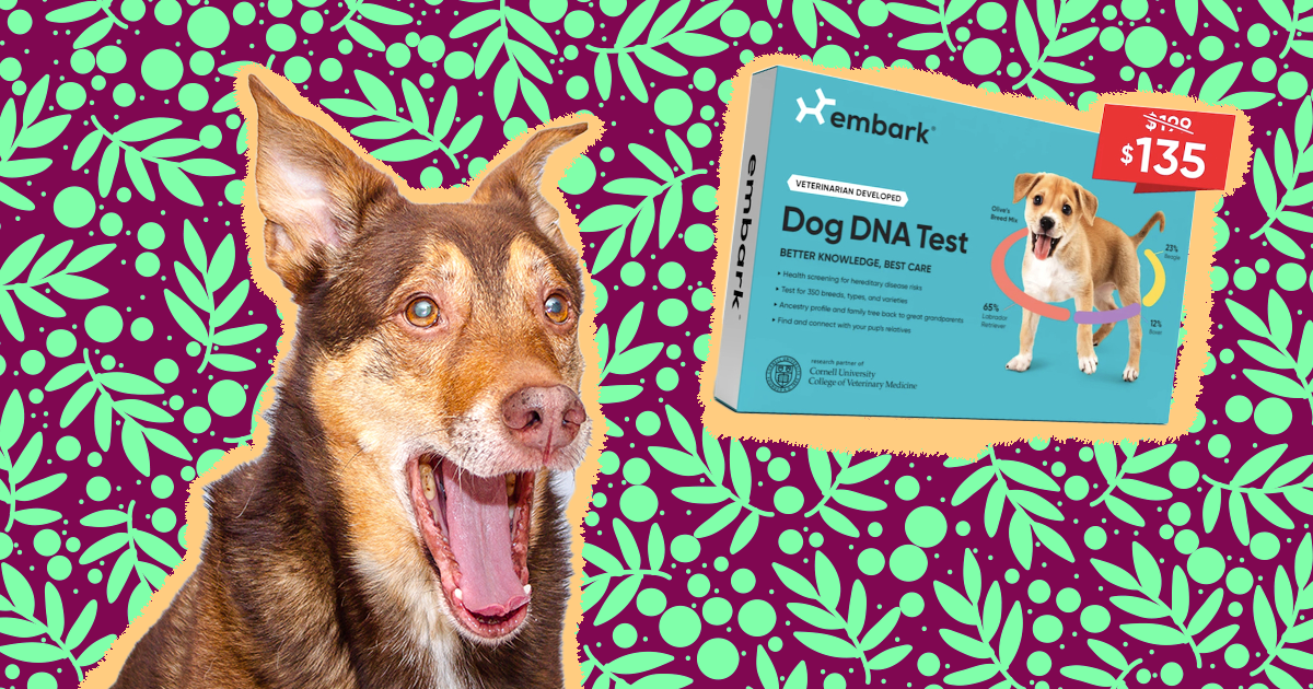 Embark dna black store friday