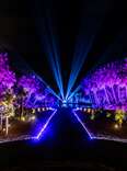 NightGarden at Fairchild Tropical Botanic Gardens