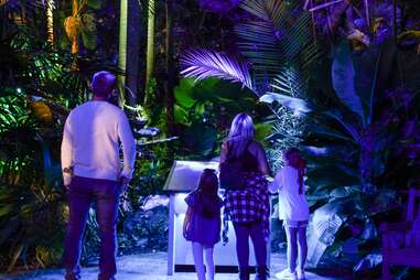 Visitors at Fairchild Tropical Botanic Gardens' NightGarden
