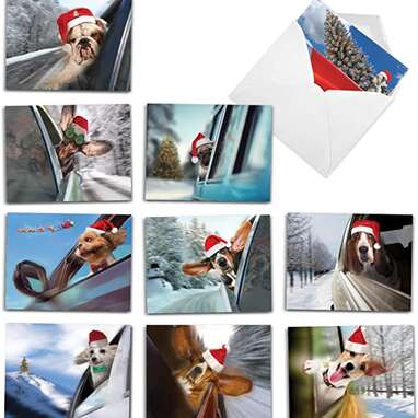 Dogs doing what dogs do best: The Best Card Company Holiday Doggie in the Window Cards