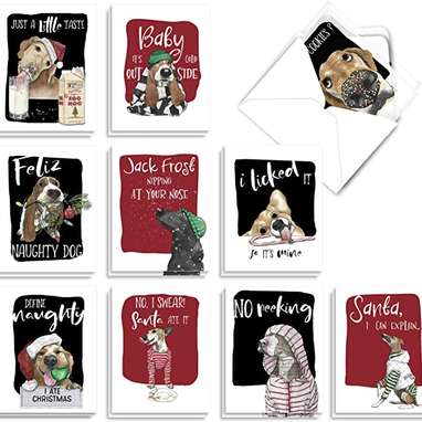 Give something different to everybody: The Best Card Company Holiday Dog Antics Variety Pack