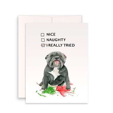  Allynn's 20 Funny Naughty Dog Christmas Cards, Boxed with  Envelopes, 10 Define Naughty and 10 Feliz Naughty Dog cards (Let Me  Explain) : Office Products