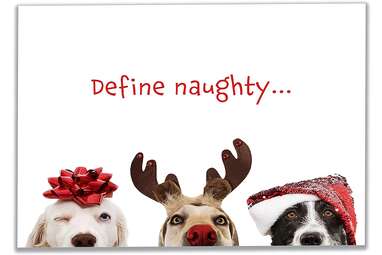 Because there’s no such thing as a “bad” dog: Allyn’s “Define Naughty …” Cards