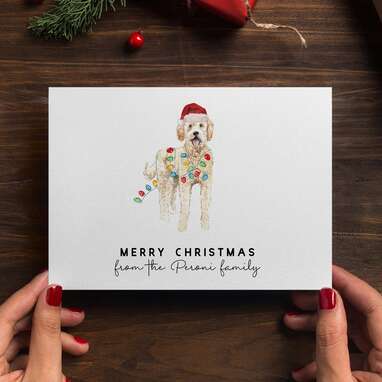 Get something custom: CharliesDogStore Personalized Dog Christmas Cards