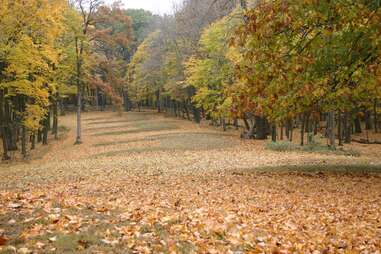 a path leading past a sacred mound in the woods