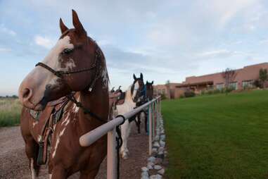 horses and an adobe ranch