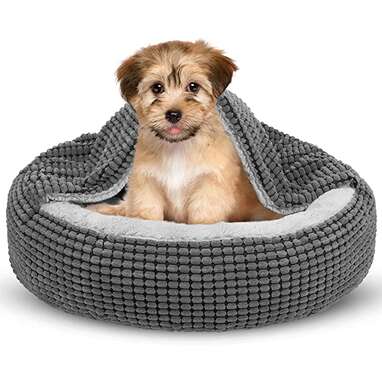 20 Dog Bed Black Friday Cyber Monday Deals You Won t Want To Miss