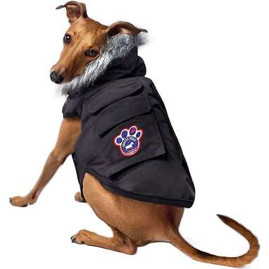 Canada Pooch Everest Explorer Premium Insulated Dog Jacket