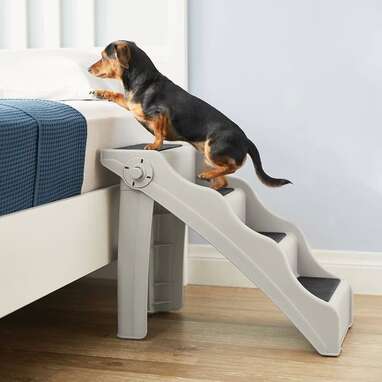 Petsafe CozyUp Foldable Cat & Dog Stairs