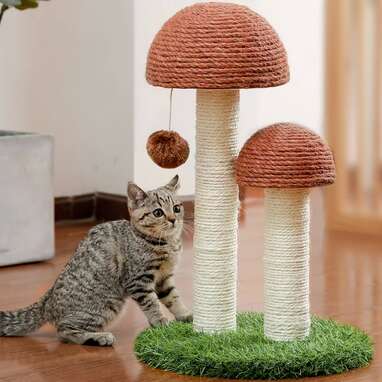 PAWZ Road Mushroom Cat Scratching Post 18.9"