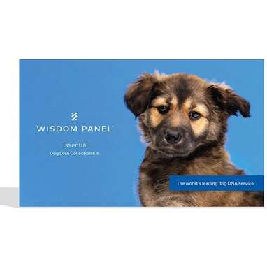 Wisdom panel 2025 black friday