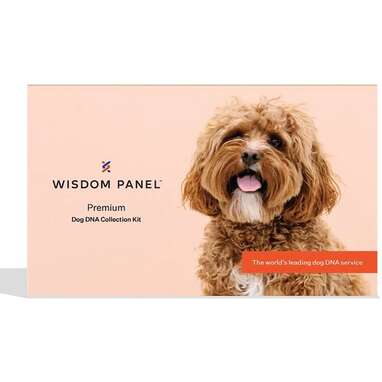 Wisdom panel shop black friday