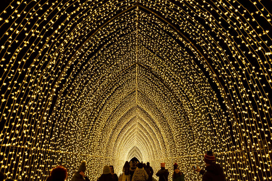 Where to See Dazzling Christmas Light Displays in NYC This Year