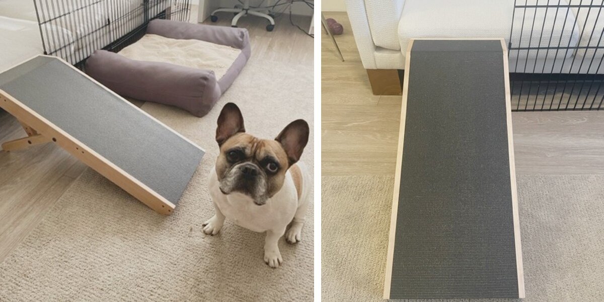 Dog ramps for store sale near me