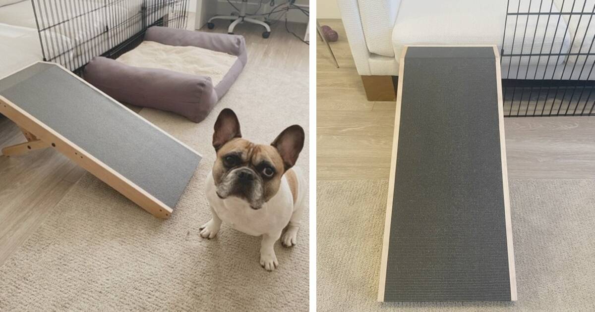 Pet couch outlet ramp