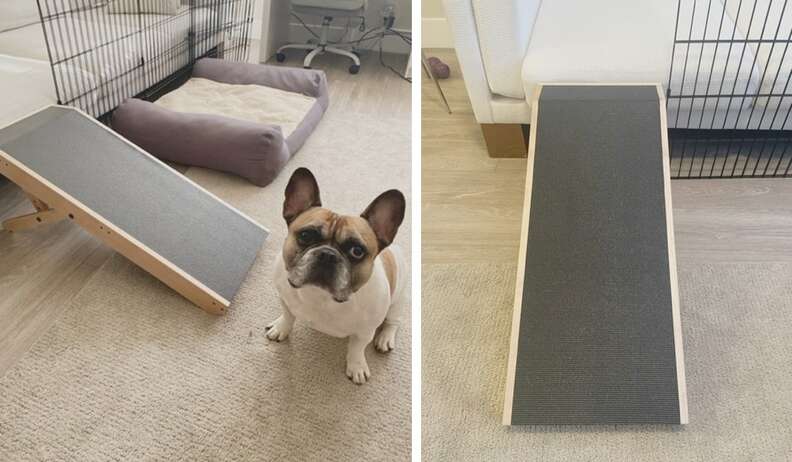 A dog outlet ramp