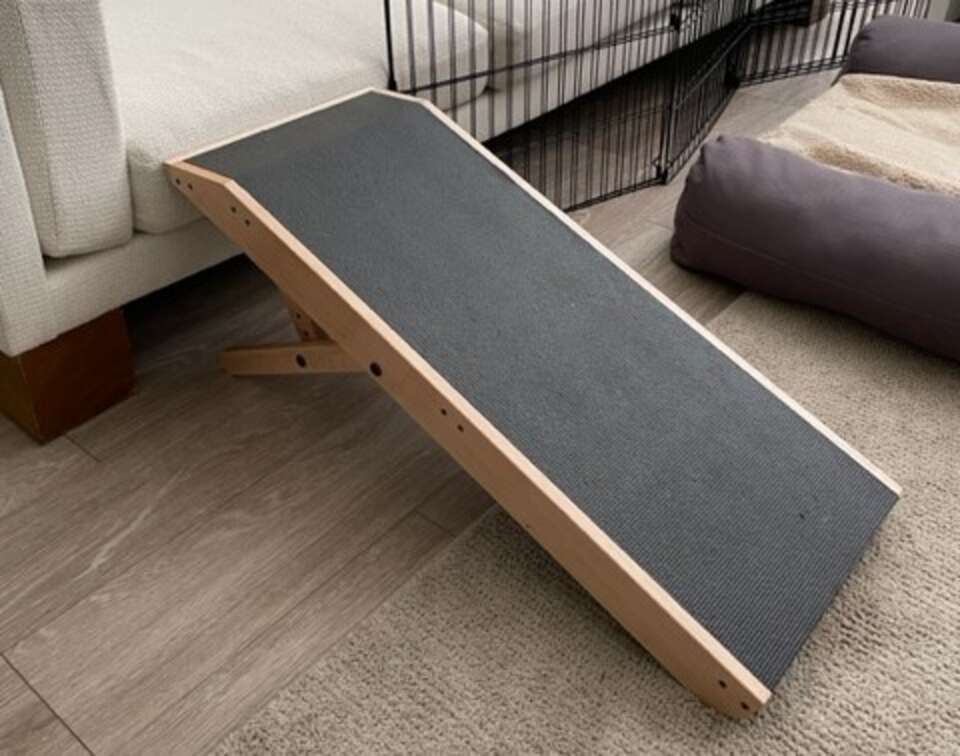 DoggoRamps Review: Why This Dog Ramp Made My Pup’s Back Surgery ...