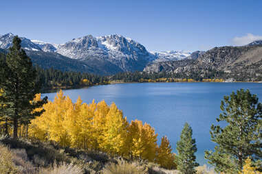 snowliage sierra nevada mountains california