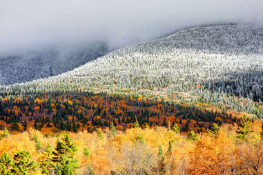 foliage new hampshire white mountains