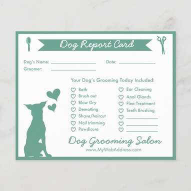 A report card for dogs: Dog report card