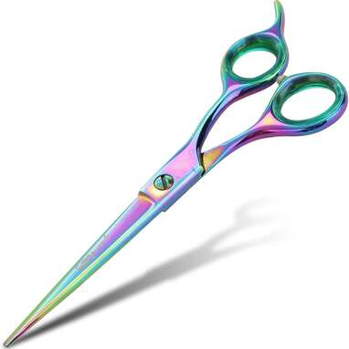 A must for every dog groomer: Scissors