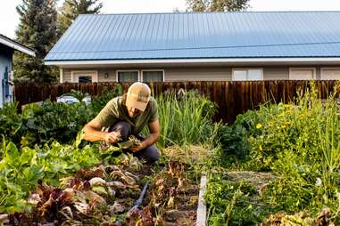 Mountain Roots Food Project