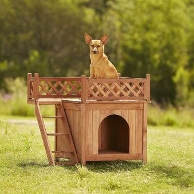 For the king of the castle: Merry Products Room with a View Wood Dog House