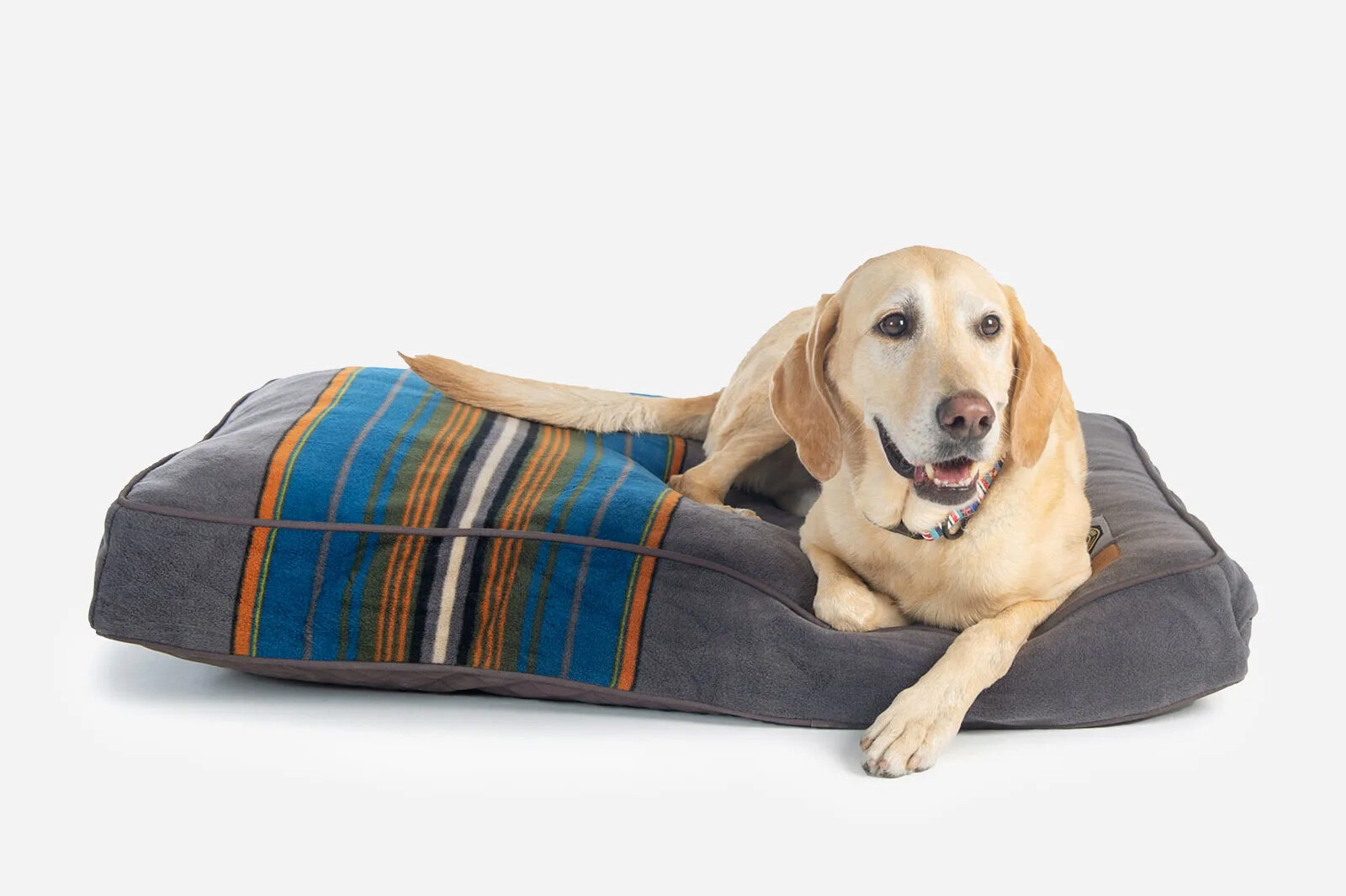 dog bed