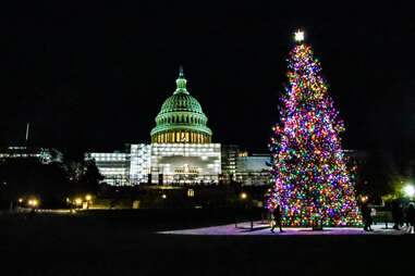 U.S. Capitol Christmas Tree