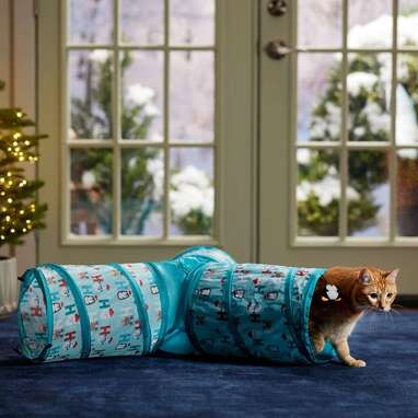 If your cat is a tunnel runner: Frisco Holiday Ho Ho Ho Tri-chute Foldable Tunnel