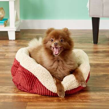 For those long winter’s naps: Aspen Pet Self-Warming Bolster Bed