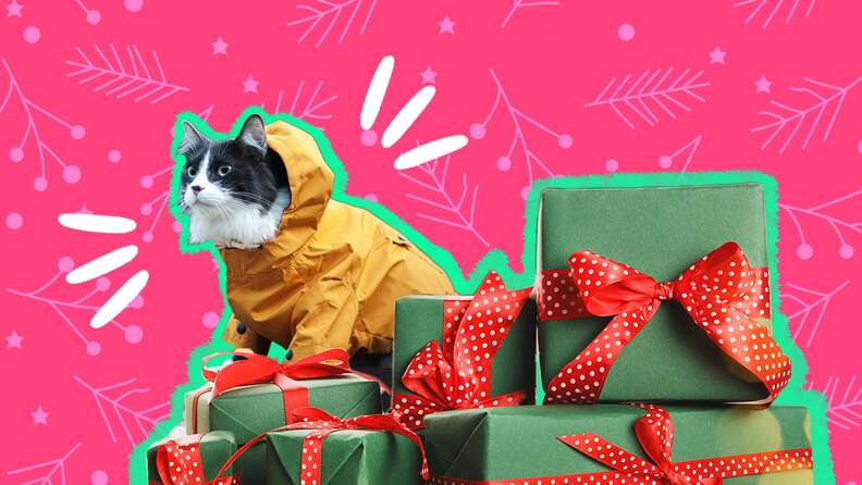 Christmas cat shop jacket