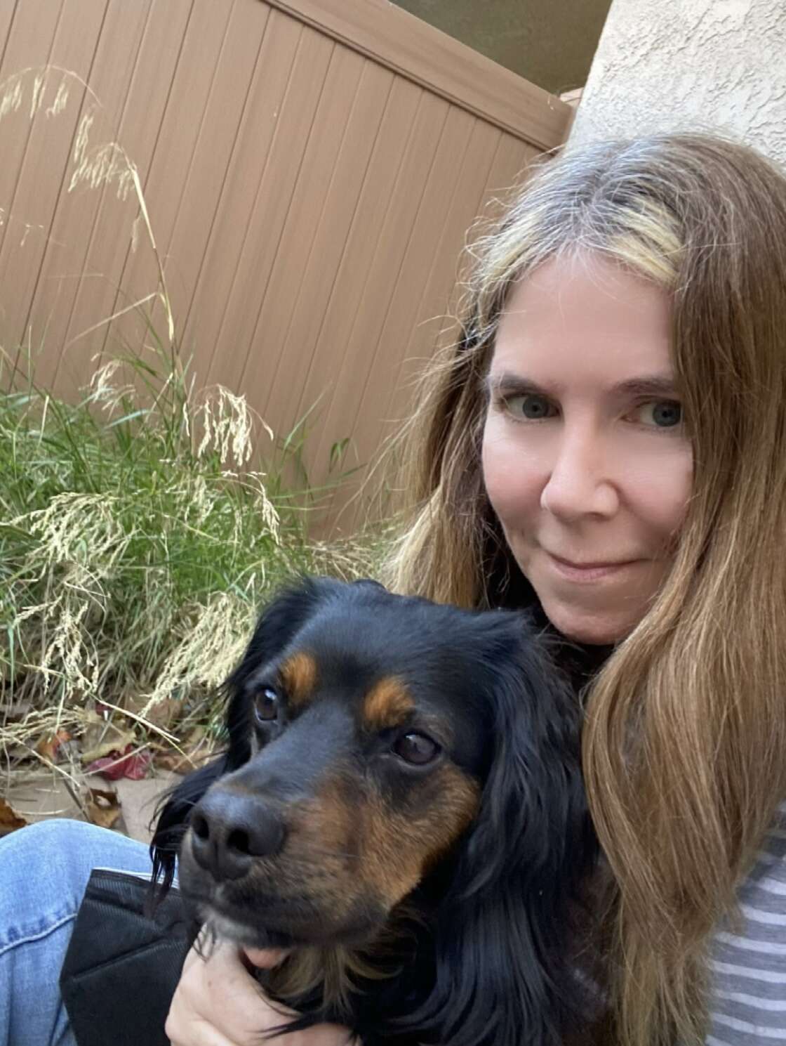 lost dog