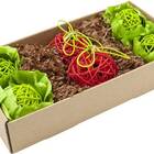OXBOW Animal Health Enriched Life Garden Dig Box Toy