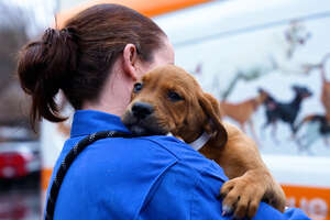 How This One Program Saves Thousands of Animal Lives