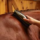 Wahl Professional Animal Equine Grooming Stiff Body Horse Brush