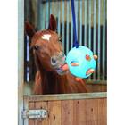 SHIRES EQUESTRIAN PRODUCTS Carrot Ball Horse Toy