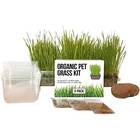 The Cat Ladies Cat Grass Growing Kit, 3 pack