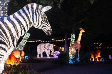 Dallas Zoo Lights, Reindeer, and Woman