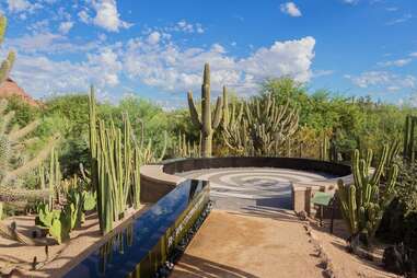 Desert Botanical Garden