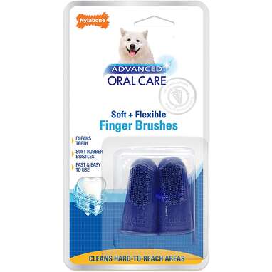 3 Best Dog Toothbrushes, According To Veterinarians - Dodowell - The Dodo