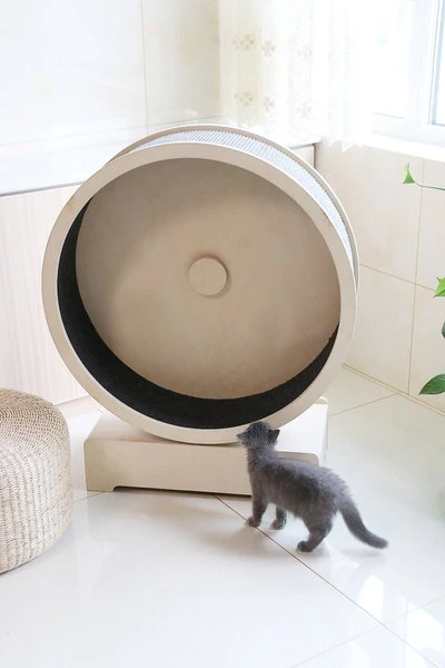 Cat wheel outlet price